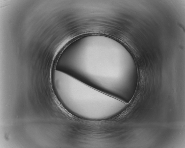 X0000102780788200808180930