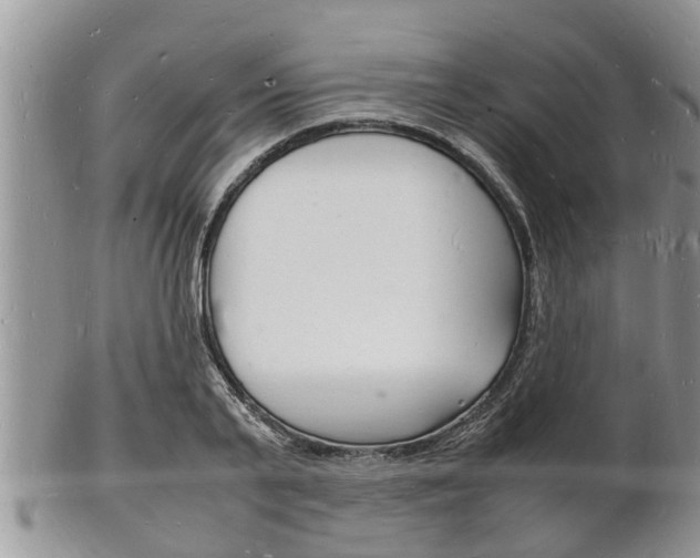 X0000102780791200808180930