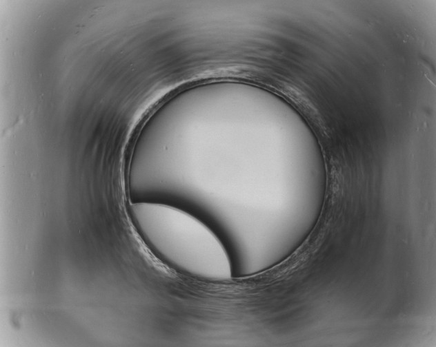 X0000102780792200808180930