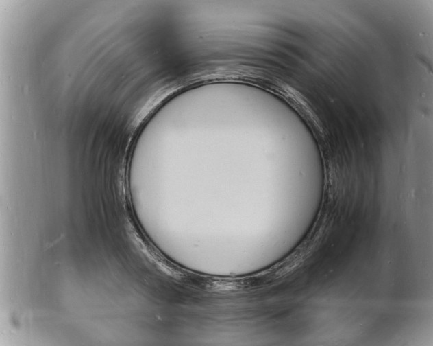X0000102780794200808180930
