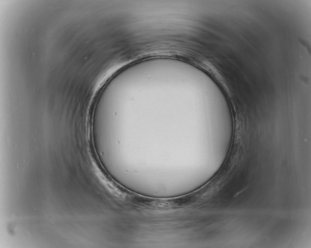 X0000102780795200808180930