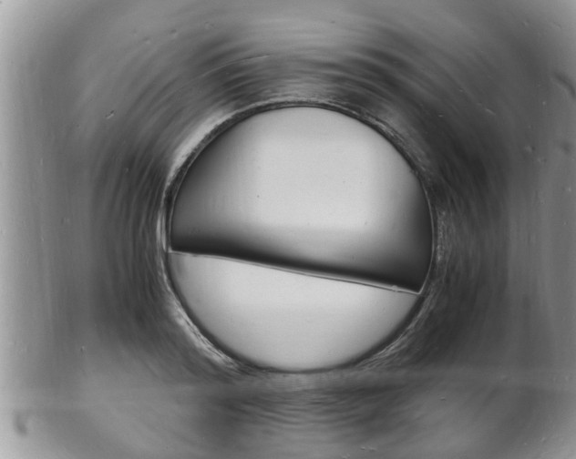 X0000102780796200808180930