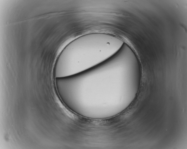 X0000102780803200808180930