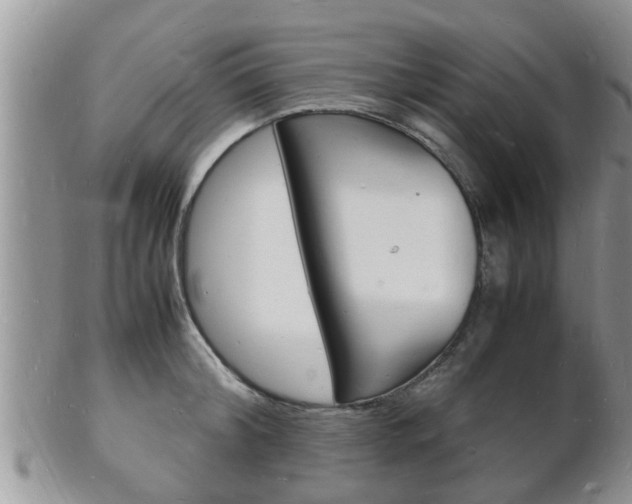 X0000102780804200808180930