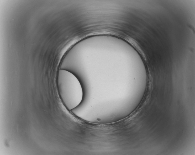 X0000102780805200808180930