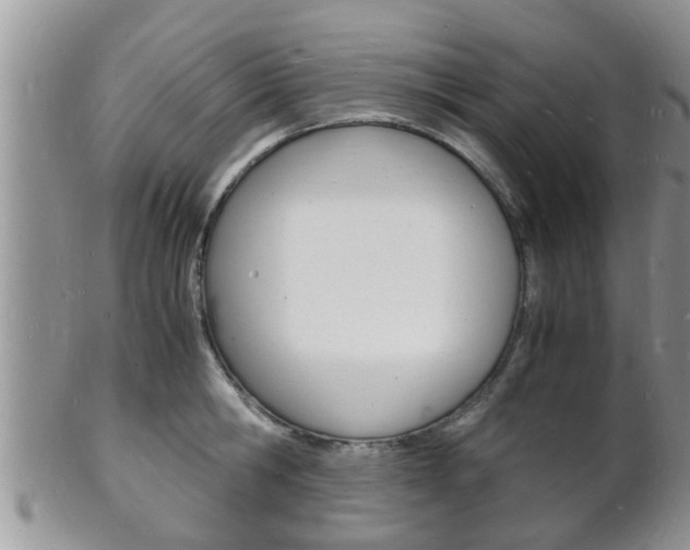 X0000102780806200808180930