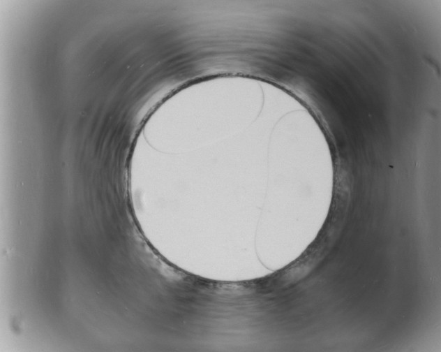 X0000102780807200808180930