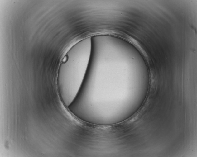 X0000102780810200808180930
