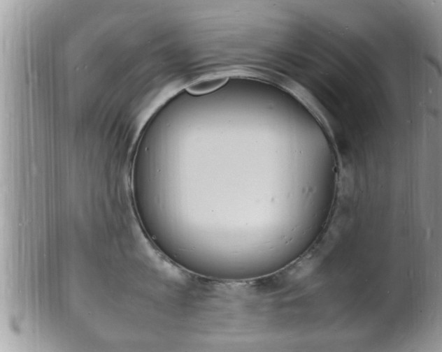 X0000102780813200808180930