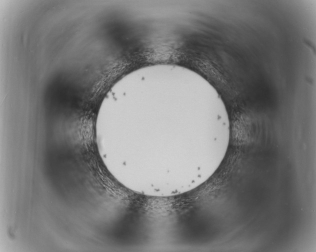 X0000102780820200808180929