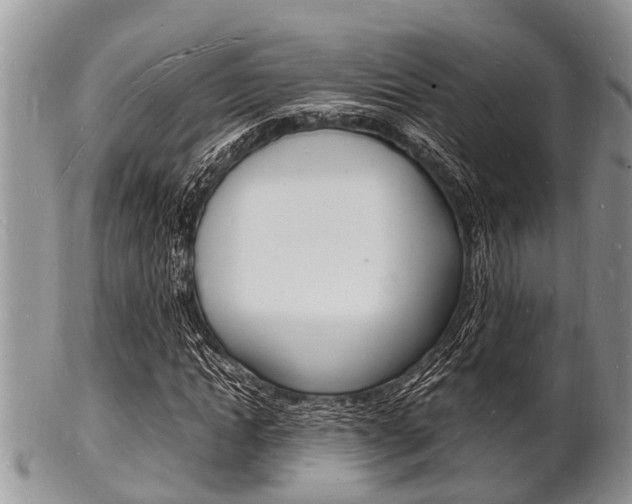 X0000102780822200808180929