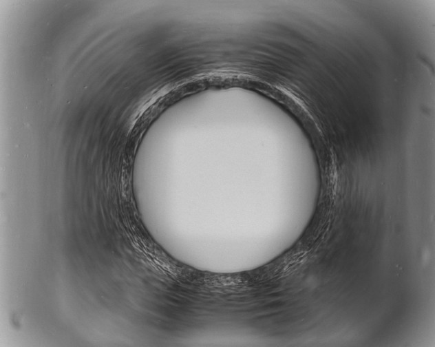 X0000102780823200808180929