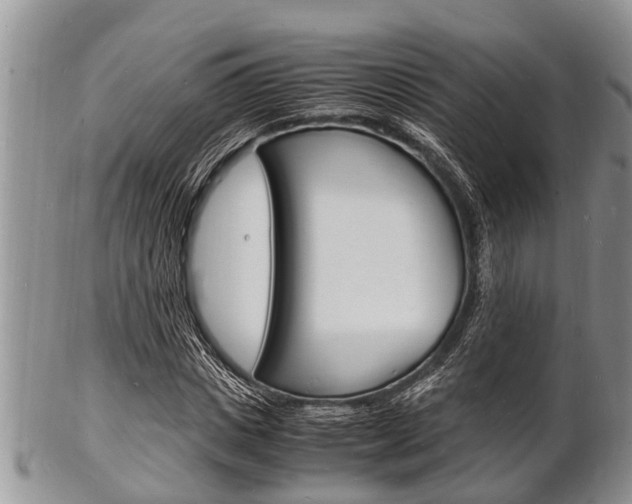X0000102780825200808180929