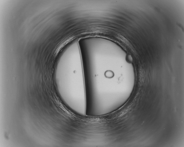 X0000102780826200808180929