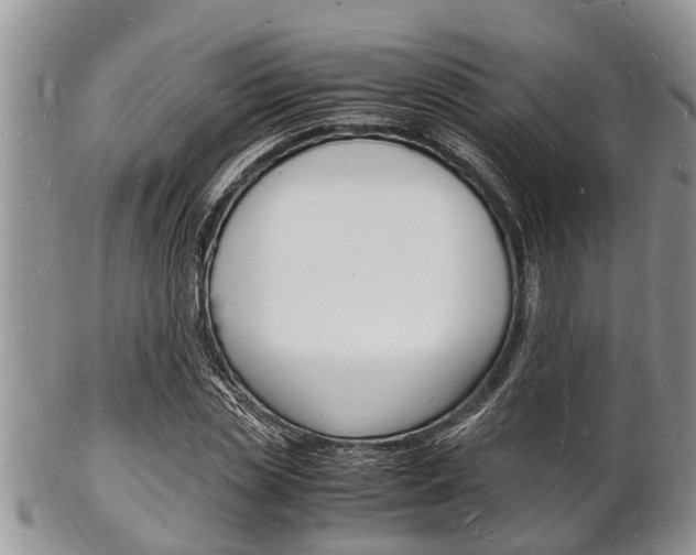 X0000102780829200808180929