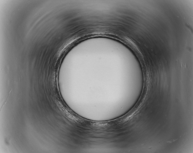 X0000102780831200808180929