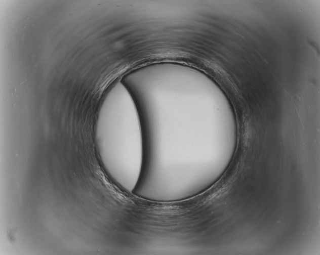 X0000102780833200808180929