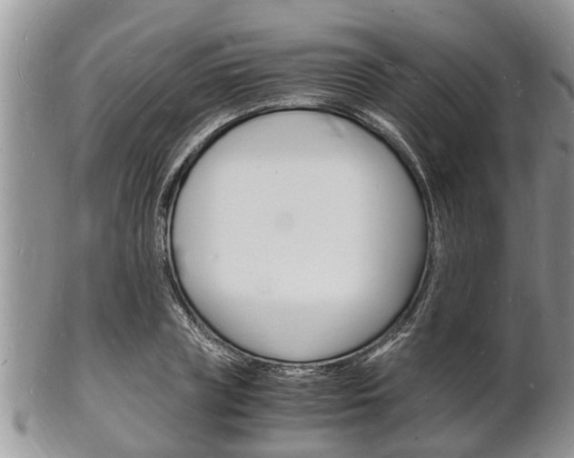 X0000102780835200808180929