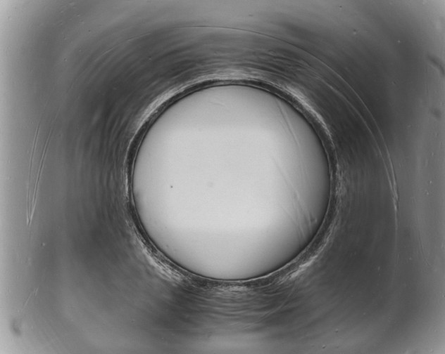 X0000102780837200808180929