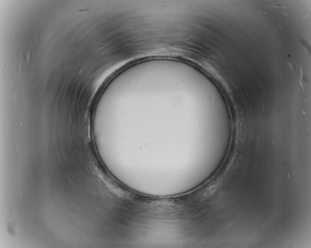 X0000102780838200808180929