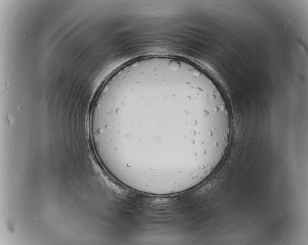 X0000102780839200808180929