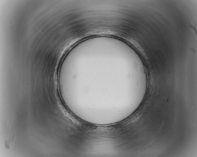 X0000102780840200808180929