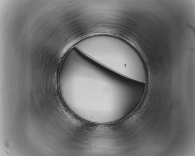 X0000102780842200808180929