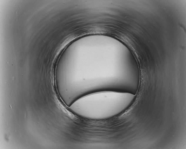 X0000102780843200808180929