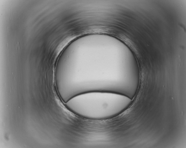 X0000102780844200808180929