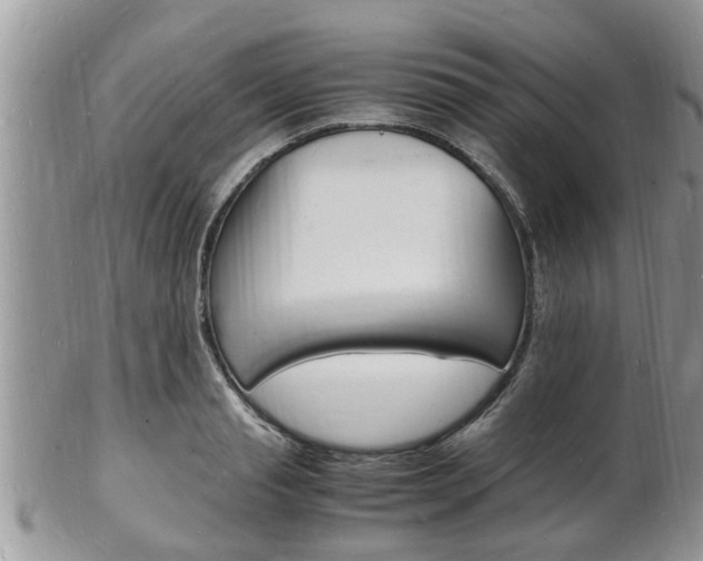 X0000102780845200808180929