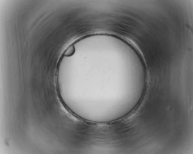 X0000102780847200808180929