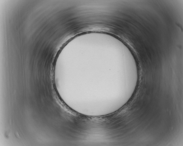 X0000102780848200808180929