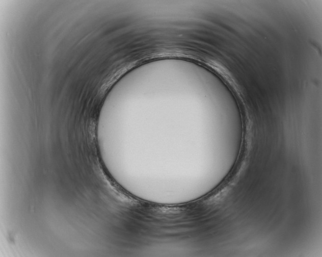 X0000102780849200808180929