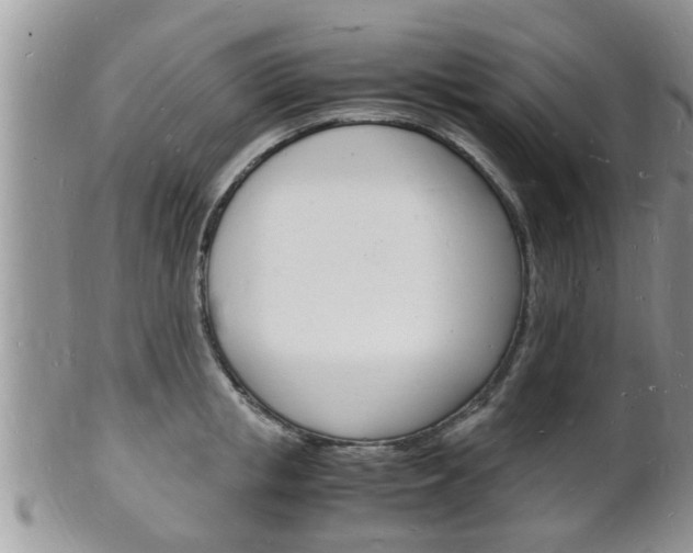 X0000102780853200808180929