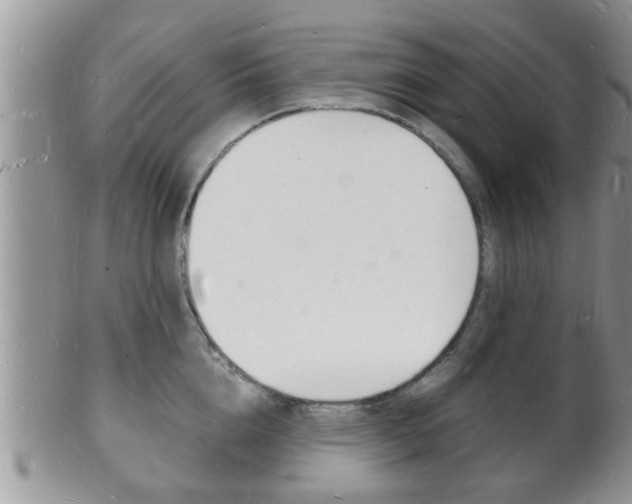 X0000102780856200808180930