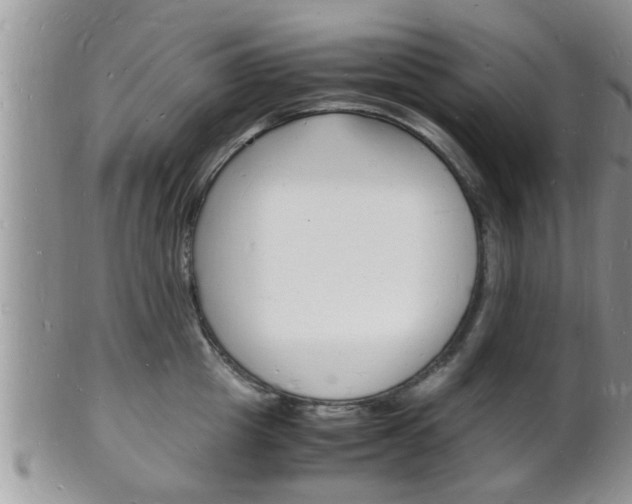 X0000102780857200808180930