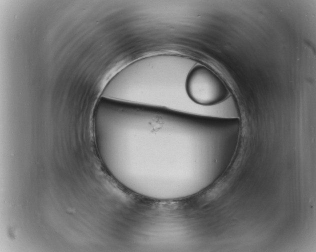 X0000102780858200808180930