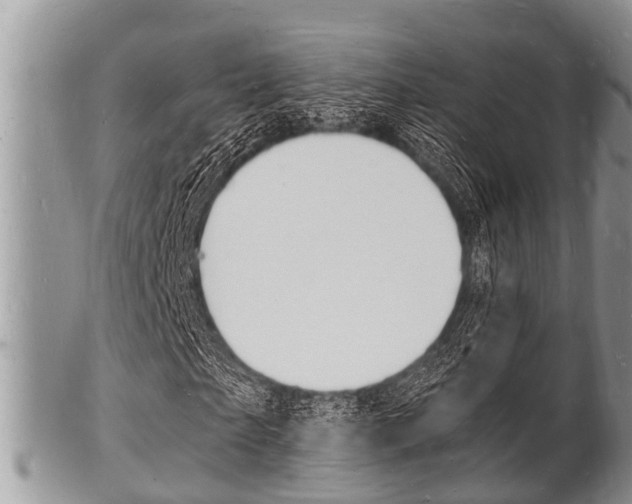 X0000102780865200808180929