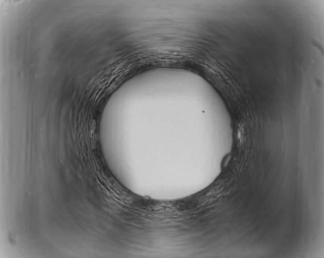 X0000102780867200808180929