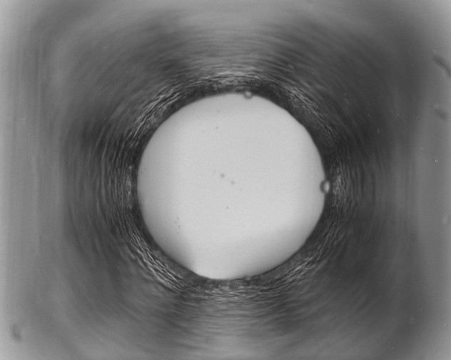 X0000102780868200808180929