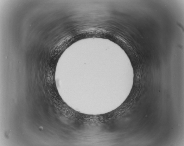X0000102780869200808180929