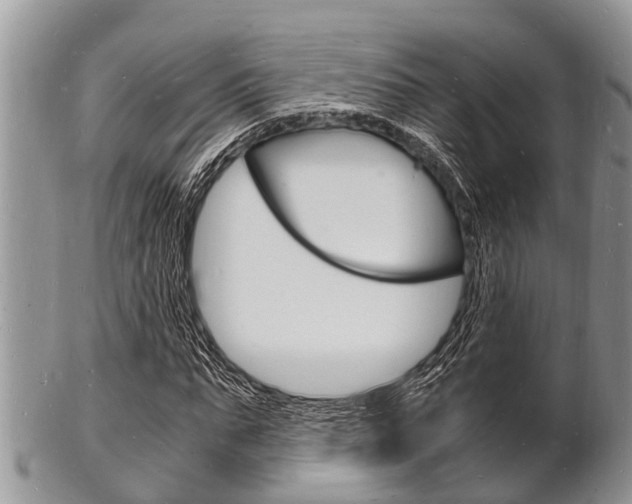 X0000102780871200808180929