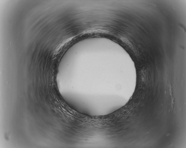 X0000102780872200808180929