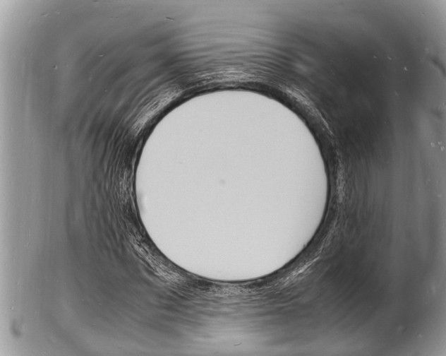 X0000102780873200808180929