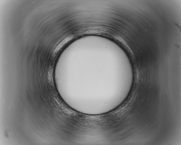 X0000102780874200808180929