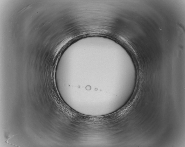 X0000102780875200808180929