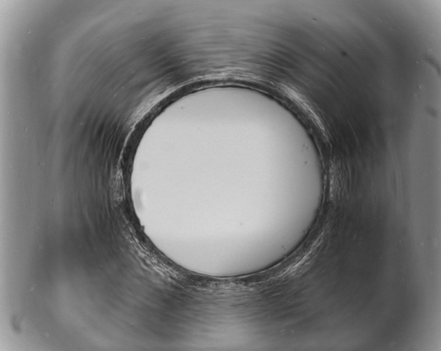 X0000102780876200808180929