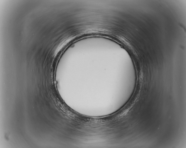 X0000102780877200808180929