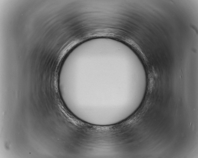 X0000102780882200808180929