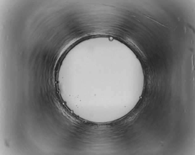 X0000102780884200808180929